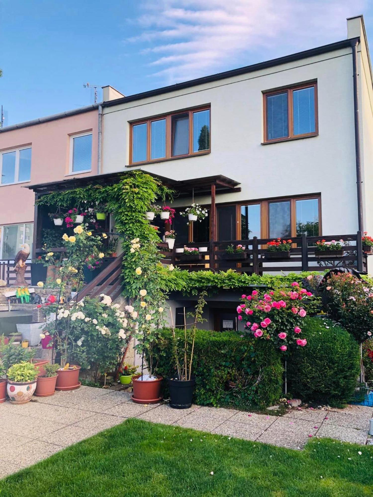 Ubytovani Na Hrazi 91 Znojmo Exterior photo