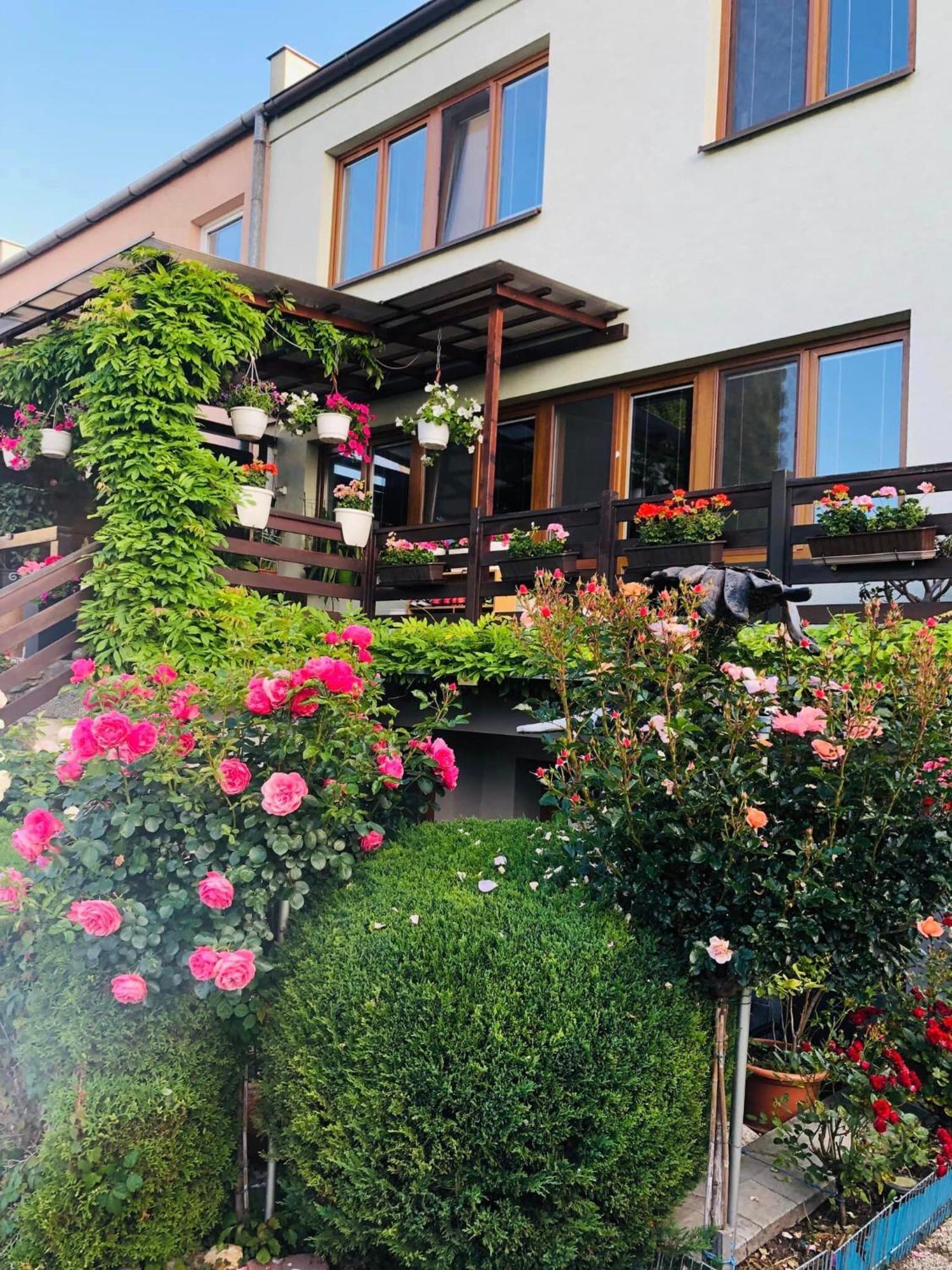 Ubytovani Na Hrazi 91 Znojmo Exterior photo